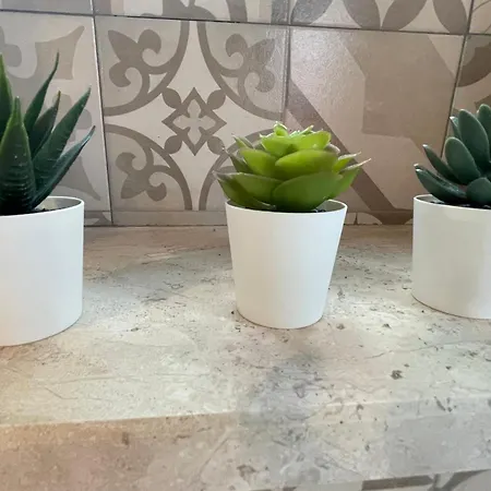Karalis Flower Apartment *